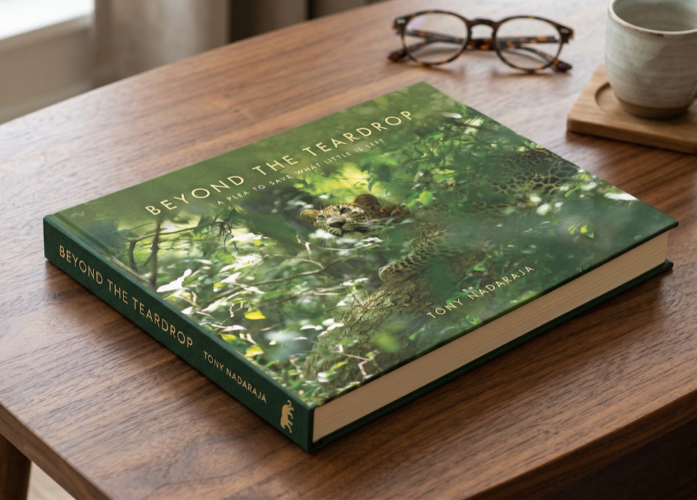 Beyond The Teardrop — Book Mockup